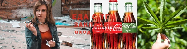 сатива Балахна