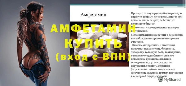 сатива Балахна