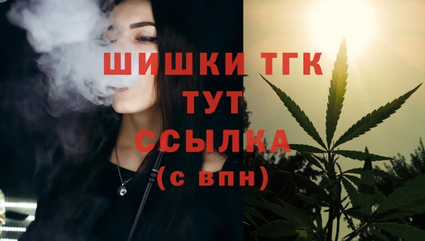 сатива Балахна