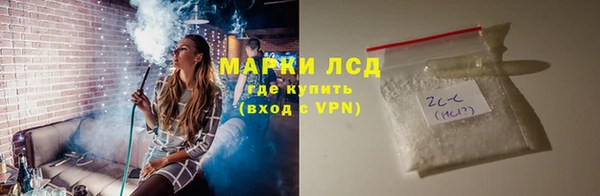 сатива Балахна