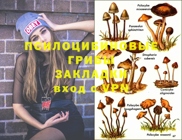 сатива Балахна