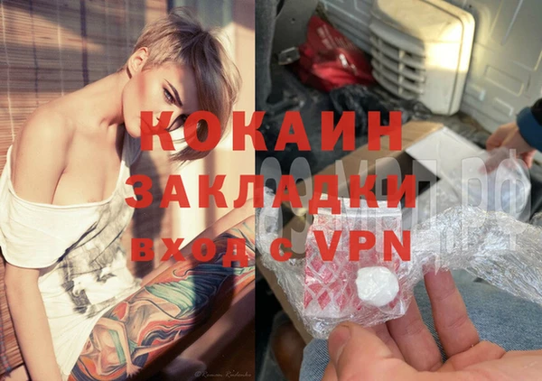 сатива Балахна