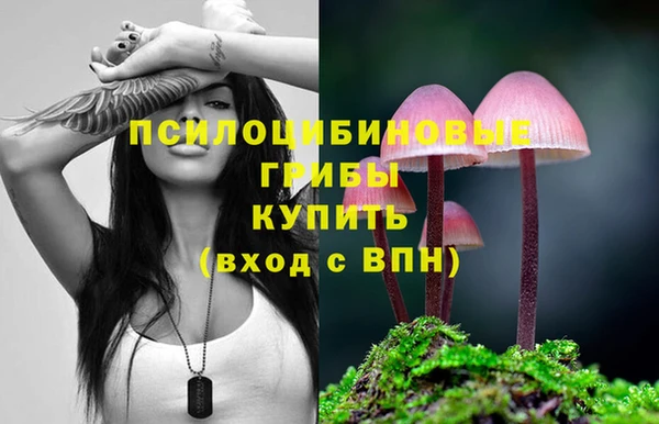 сатива Балахна