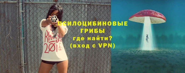 сатива Балахна