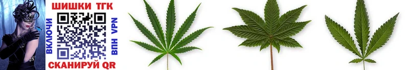 Канабис THC 21%  Черногорск 